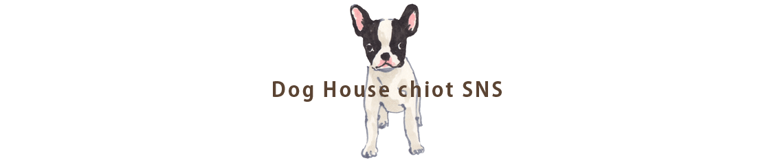 ドッグハウス シオのSNS