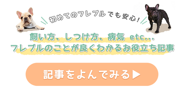 初めてのフレブルでも安心！お役立ち記事